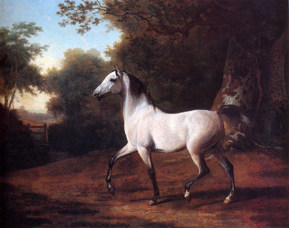 Jacques Laurent Agasse A Grey Arab Stallion In A Wooded Landscape